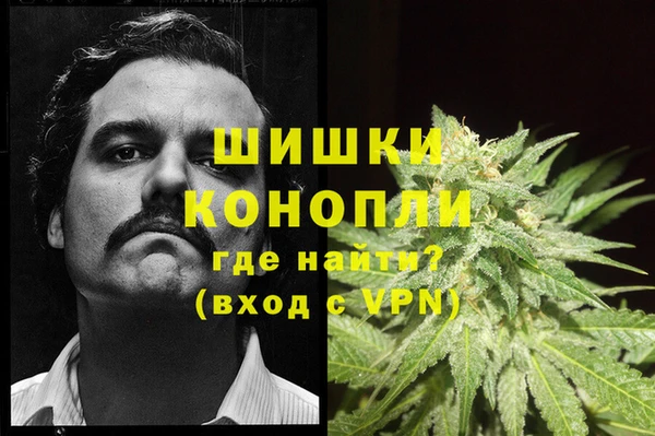 apvp Касимов