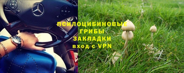 гидра Карталы