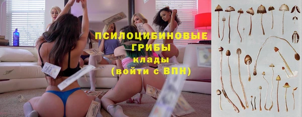 гидра Карталы